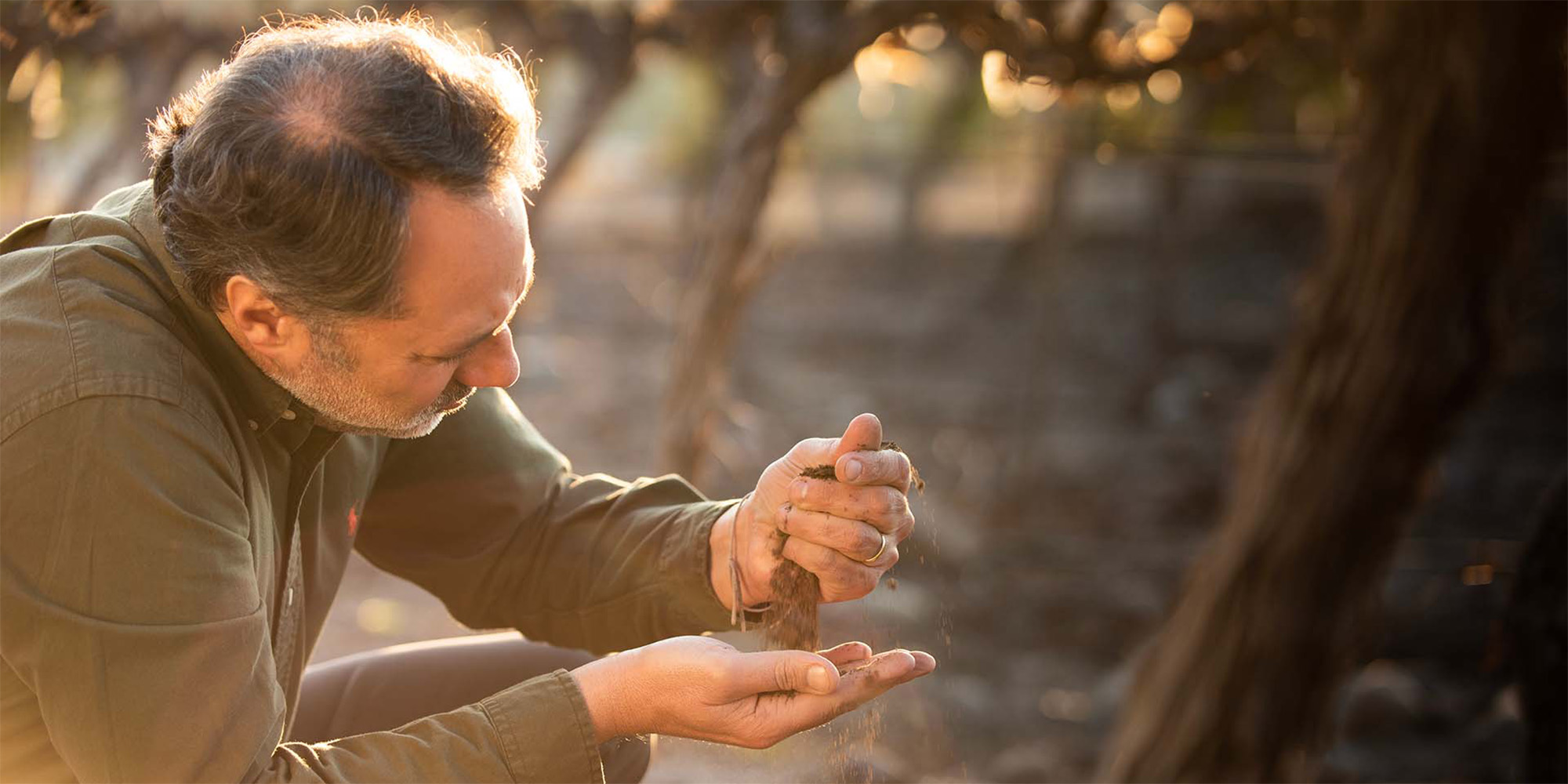 A close up photograph of a man pouring dirt between one hand to the other as he crouches beside a vine row. 
